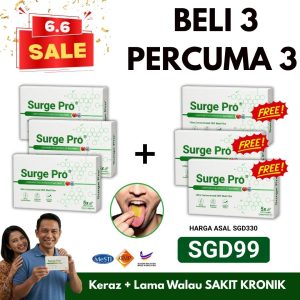 PAKEJ 6 BOX ( PROMOSI 6.6 )