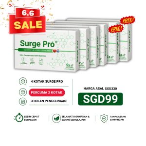 PAKEJ 4 BOX FREE 2 ( PROMOSI 6.6 )