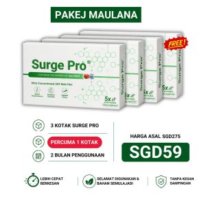 PAKEJ MAULANA